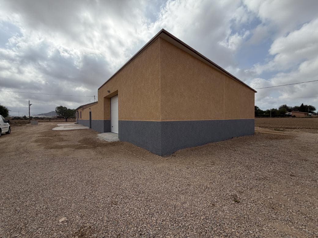 House in La Puebla